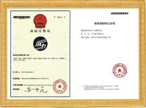 商标注册证 - 中国·川力电气有限公司