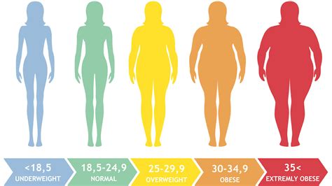 男女正确的BMI计算公式（bmi计算公式怎么算） - 投稿号