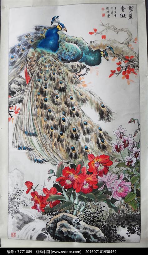 国画孔雀大全图片
