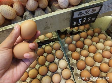 鸡蛋价格最新行情走势 今日鸡蛋价格调至5元线下-股城消费