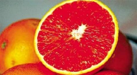 这种水果高血压的人要多吃，它对高血压人有很好的降压作用|血橙|高血压|水果_新浪新闻