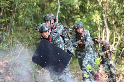 广西崇左：武警新兵训练磨砺血性虎气-人民图片网