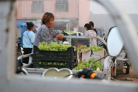 瓜菜交易市场纪实-中关村在线摄影论坛