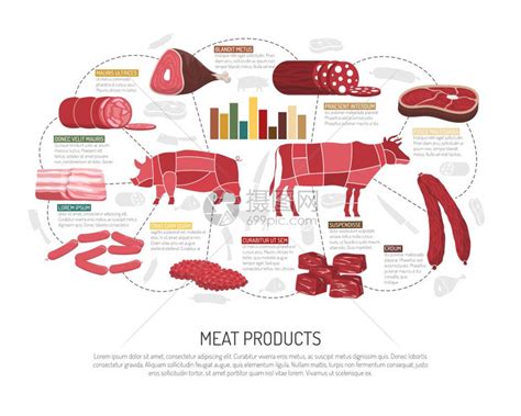 肉类市场产品平信息海报肉类市场产品品种信息展示与猪肉羊肉牛肉香肠火腿培根熟食平矢量插图插画图片下载-正版图片300921496-摄图网