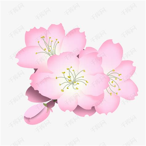 粉色樱花卡通插画素材图片免费下载-千库网
