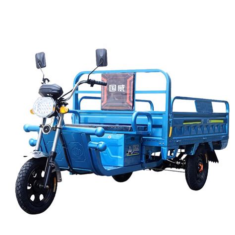 国威电动三轮车货运平板家用载货快递车电瓶拉货车小型双人代步车-阿里巴巴