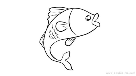 鱼简笔画怎么画 鱼简笔画图片大全 - 水彩迷