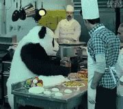 可爱大熊猫搞笑视频视频 _网络排行榜