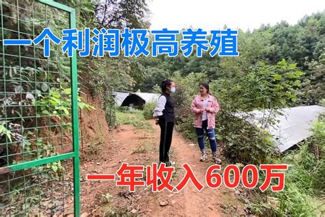 某项目总投资为2000万元，项目建设期为3年，第一年投资500万元，第二年投资1000万元，第三年投资500万元，建设期内年利率为10%，则 ...