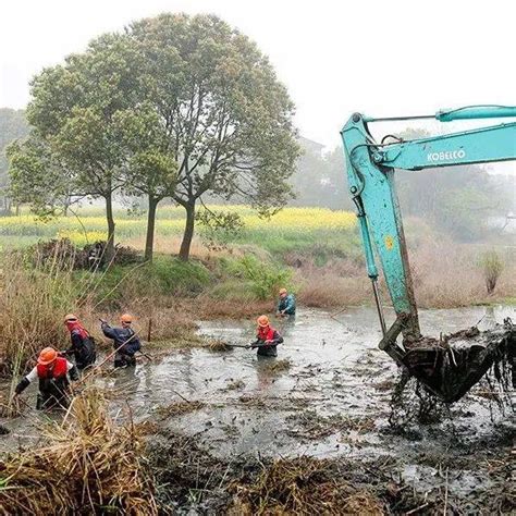 新挖的池塘也要注重水质调节-中国鳗鱼网