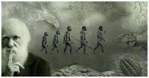 达尔文的进化论会被推翻？史前文明可信度到底有几何？__财经头条