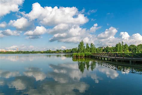 航拍广州海珠湖海珠湿地4K画质_3840X2160_高清视频素材下载(编号:7592684)_实拍视频_光厂(VJ师网) www.vjshi.com