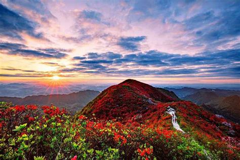 “云上丹寨·康养福地”来筑推介 着力打造苗文化体验首选地-贵州旅游在线