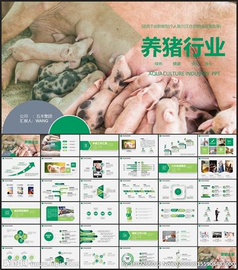 2021年中国养殖业市场分析报告-行业运营态势与前景评估预测_观研报告网