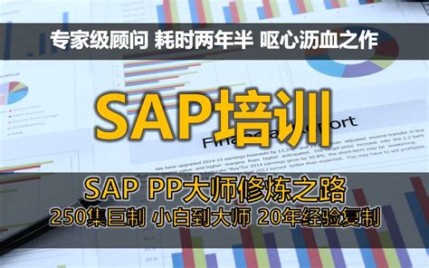 SAP PP高级培训课程-大师修炼之路(SAP PP入门到中高级全套教程，学这一 - 哔哩哔哩