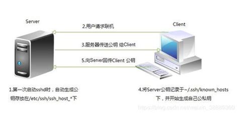 利用香港云服务器搭建网站，让你远离地理限制 _ 子一网络科技