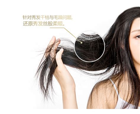 飞纳电镜与 Tony 老师，为你揭开头发烫染的奥秘-复纳科学仪器（上海）有限公司