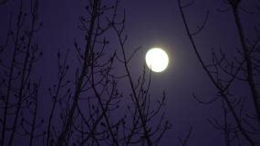 农村晚上月亮图片,农村月亮图片,农村月亮夜景图片_大山谷图库