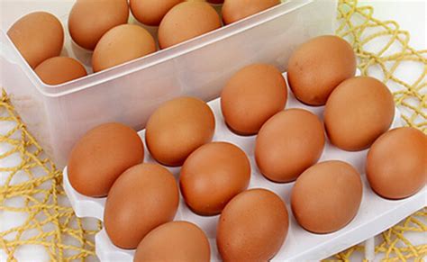 蛋黄和蛋白哪个营养价值高 鸡蛋一天最多吃几个 _八宝网