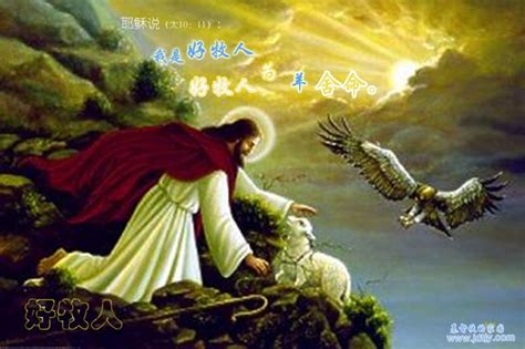 耶稣所讲的比喻之九 ——迷失羊的比喻-基督时报-基督教资讯平台