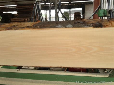 榉木板材价格嘉善榉木板材_榉木板材价格嘉善榉木板材价格_榉木板材价格嘉善榉木板材厂家-嘉善和兴木业有限公司