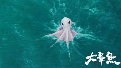 电影《深海》预告及海报公布 今年年内上映 - 360娱乐，你开心就好