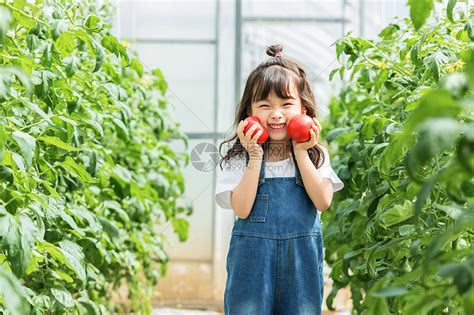 小女孩蔬菜棚摘水果高清图片下载-正版图片501341356-摄图网