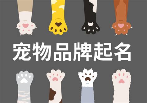 宠物宠物店招牌可爱猫狗头像店招PNG图片素材下载_可爱PNG_熊猫办公