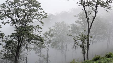 【寂静的山林--山顶晨雾摄影图片】风光摄影_太平洋电脑网摄影部落