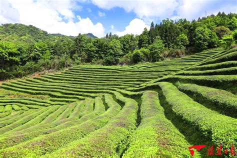 #一张照片一座城#------福建南平建阳区城市掠影-中关村在线摄影论坛