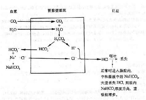 下列说法错误的是( ) A.Cl2与碱的反应.属于Cl2的自身氧化还原反应B.利用Cl2与碱的反应.可以消除Cl2污染C.用湿润的淀粉KI试纸可以检验Cl2D.Cl2与盐的反应不一定都是氧化 ...
