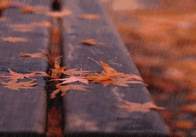 一场秋雨一场凉摄影海报模板素材-正版图片401801436-摄图网