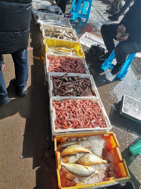 鲜到鲜得 冷冻舟山带鱼段900g 刀鱼 深海鱼 生鲜 鱼类 海鲜水产 去头去尾-商品详情-菜管家