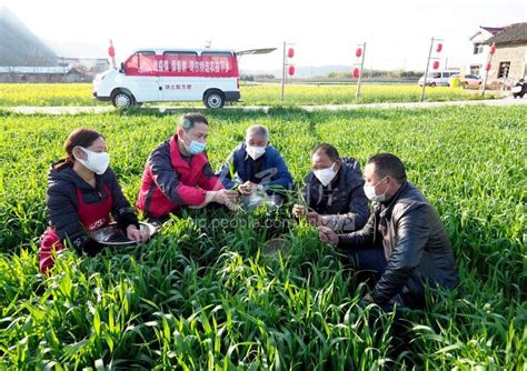安徽宣城：春耕备肥促生产-人民图片网