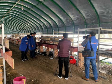 媒体报道：校企合作助力我区奶牛养殖产业高质量发展-宁夏大学生命科学学院