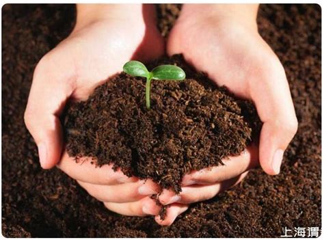 土壤污染会对种植带来影响，土壤污染的种类及预防方法你知道吗？