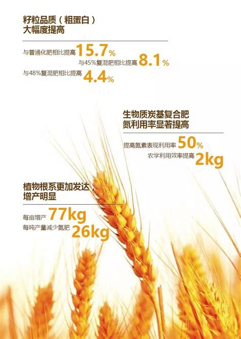 《2021年世界粮食安全和营养状况》中文版全文发布：疫情肆虐，全球饥饿人数激增