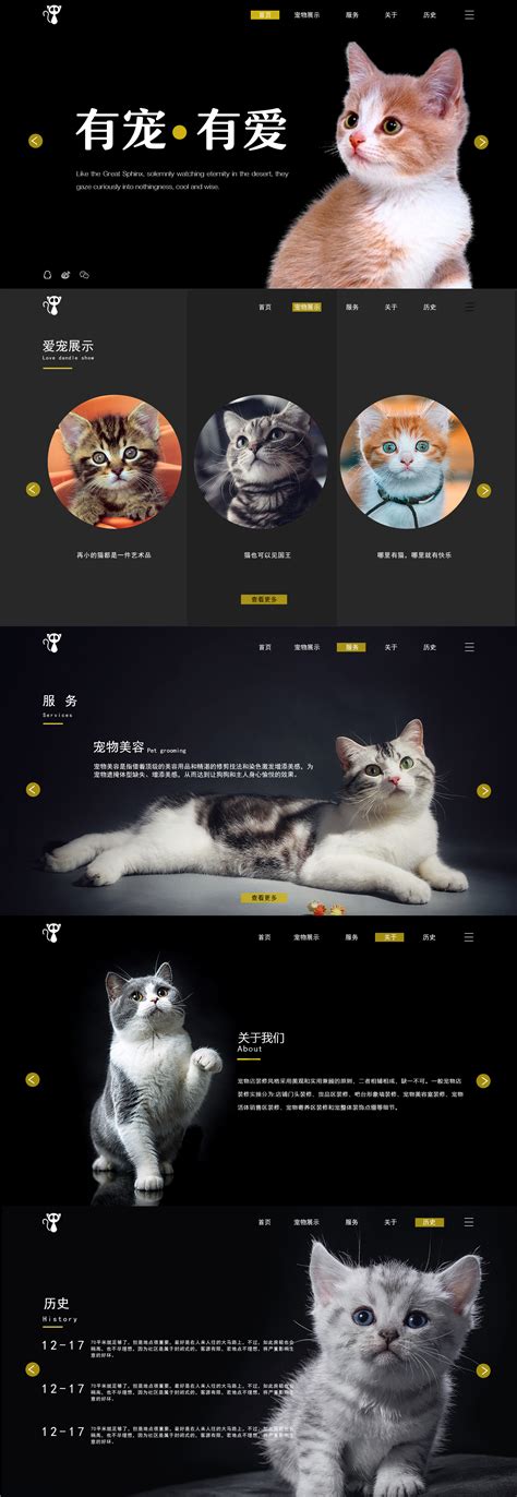 猫咪一屏式网页设计|网页|电商|婷儿inging - 临摹作品 - 站酷 (ZCOOL)