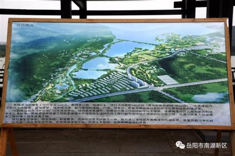 李爱武调研南湖新区黄梅港湿地公园项目