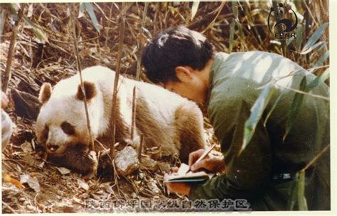 摄影师记录中亚游牧民与野生动物相互依存的生活_手机新浪网