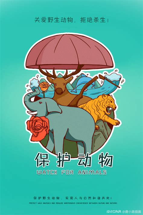 新国家重点保护野生动物名录公布：长江江豚升为国家一级保护野生动物