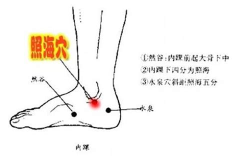 照海的准确位置图图片 照海的准确位置图图片