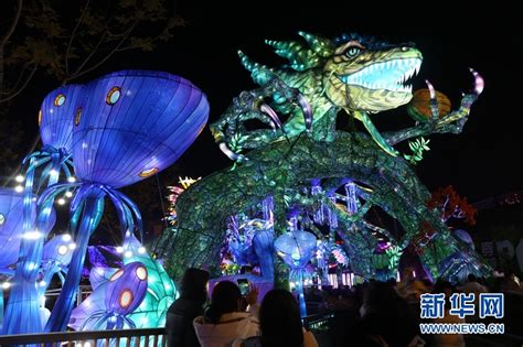 第二十四届自贡国际恐龙灯会定于2月2日盛大开幕—自贡灯会官方网站