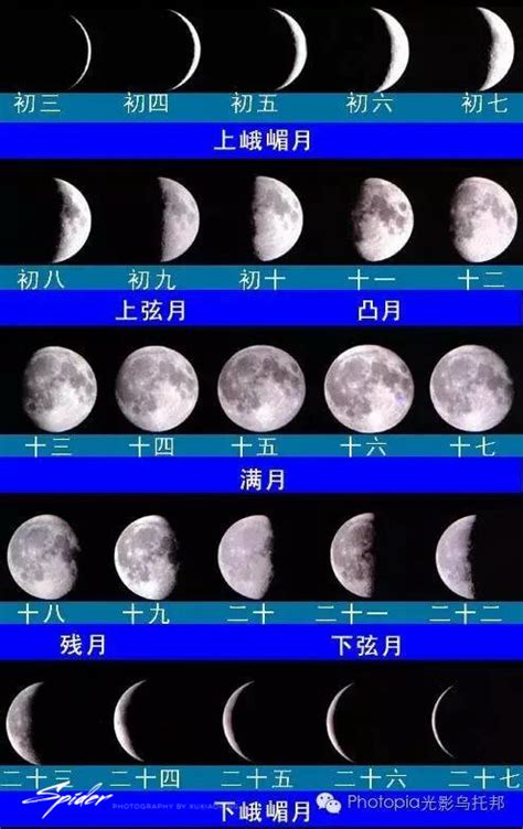 月相变化图卡通图,月相变化图报,一个月的月相变化图(第5页)_大山谷图库