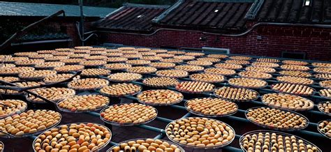 柿子饼|摄影|产品|郑州三川电商摄影 - 原创作品 - 站酷 (ZCOOL)