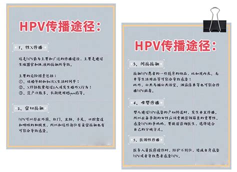 【2023年卫生健康宣传日】国际HPV知晓日——让世界少一份忧虑|宫颈癌|高危型|型别_新浪新闻