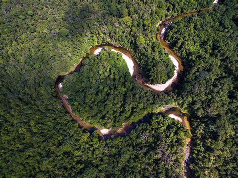 巴西的热带雨林是一个神秘的世界