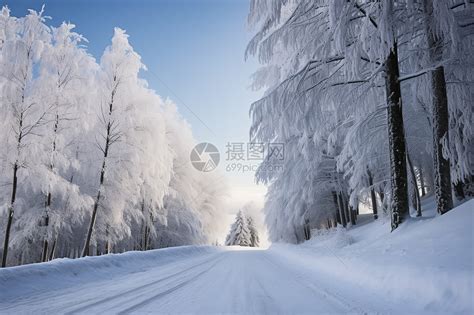 科学网—难得一见铺满白雪的美丽CSU - 吴超的博文