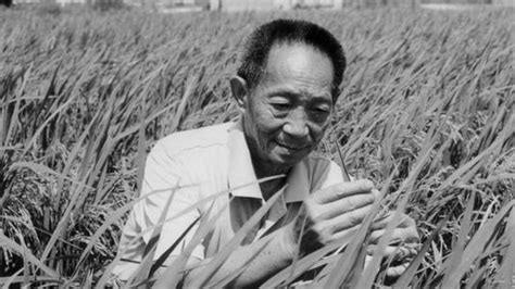 袁隆平逝世一周年学生在墓前汇报超级稻进展：两个攻关目标已经实现了一个|袁隆平|超级稻|亩产_新浪新闻