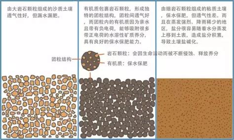 砂土和壤土和粘土的区别方法 - 如意谷